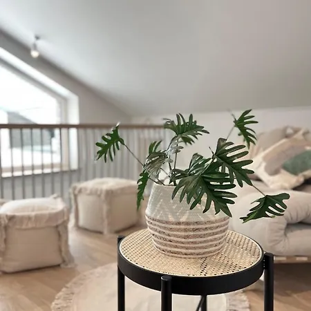 Boho Apartamentai * Palanga