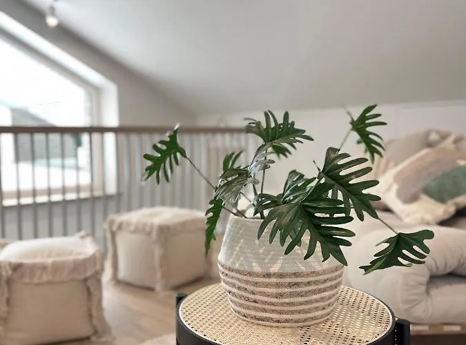 Boho Apartamentai * بالانغا